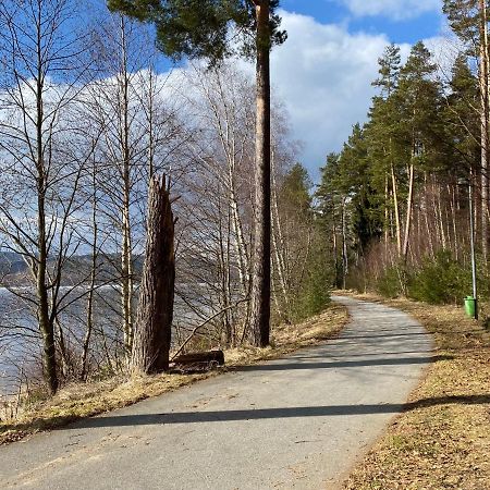Prazdninovy Domek Kobylnice Lipno nad Vltavou Ngoại thất bức ảnh
